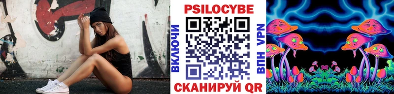 кракен как войти  Северск  Галлюциногенные грибы Psilocybe 